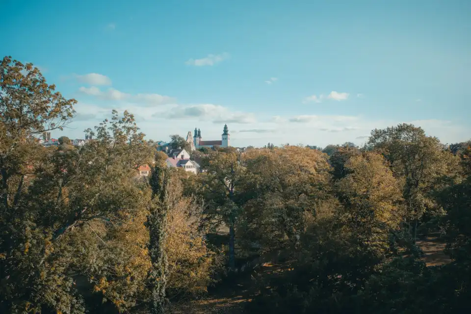 Visby through trees