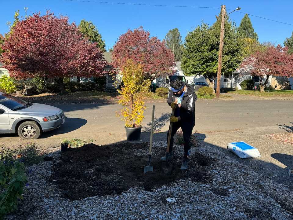 Charlie planting the tree