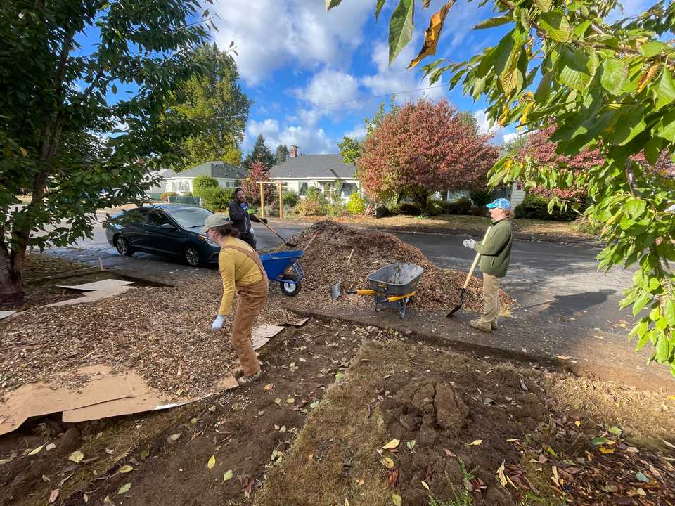 October: Started our first big home project by chipping the front yard