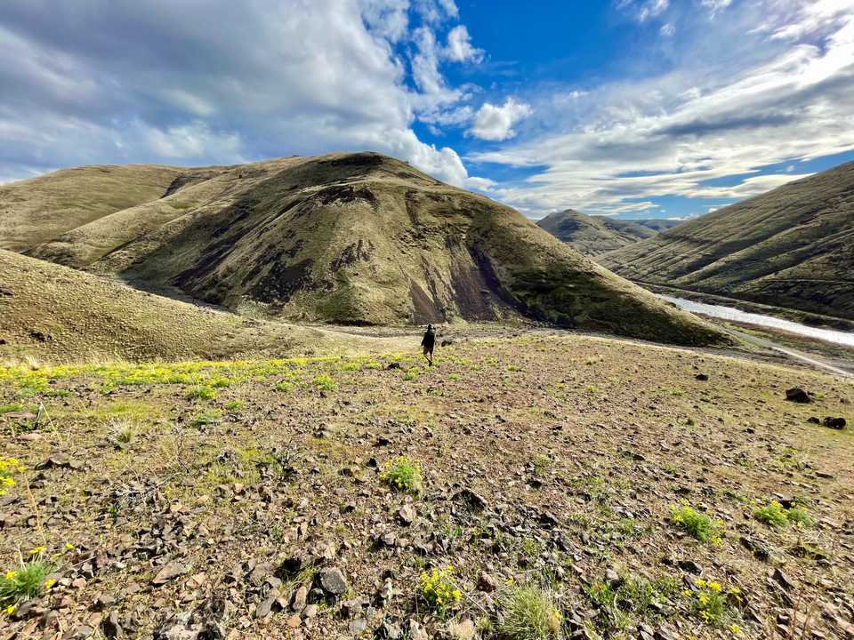 Charlie on the Hill