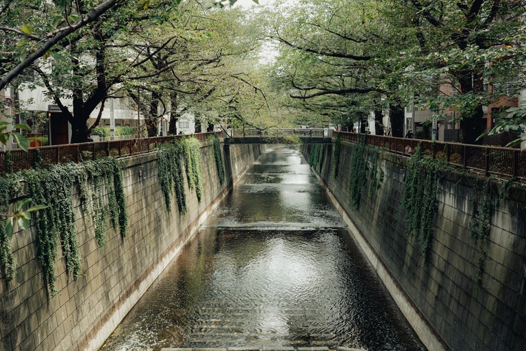 The Meguro River in Nakameguro | Tokyo