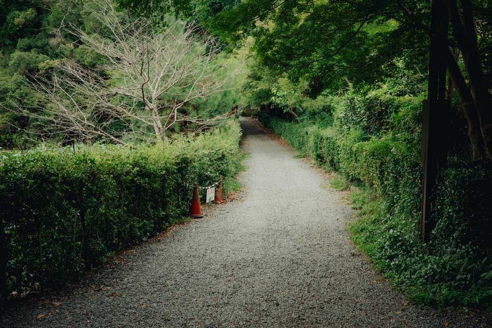 Near the Giōji Temple | Kyoto