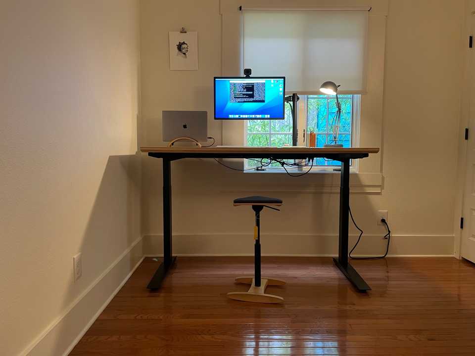 New Desk featuring Björk dog print from Joe