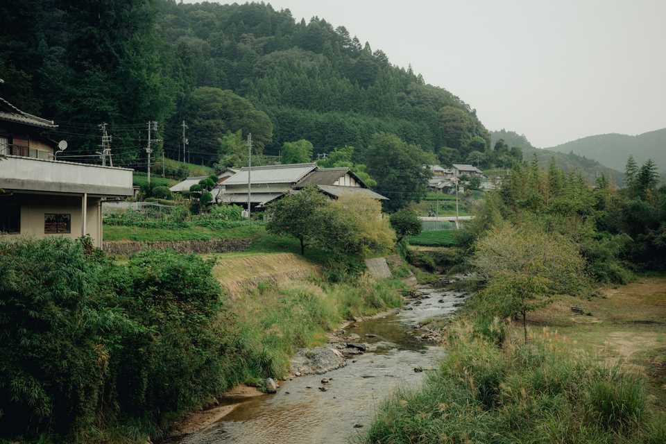 Watsuka River | Wazuka