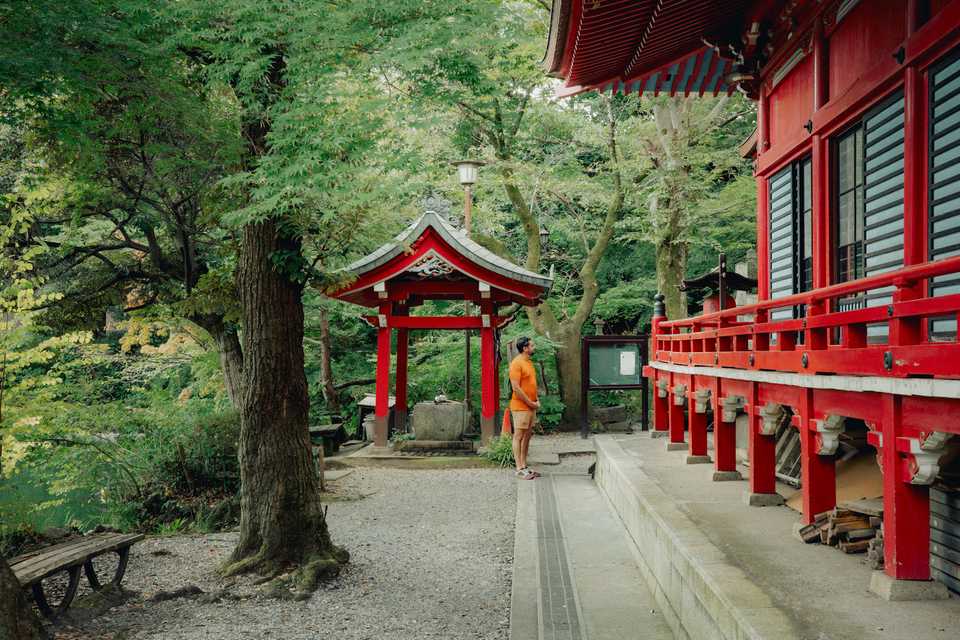 Charlie at Inokashira Benzaiten | Tokyo