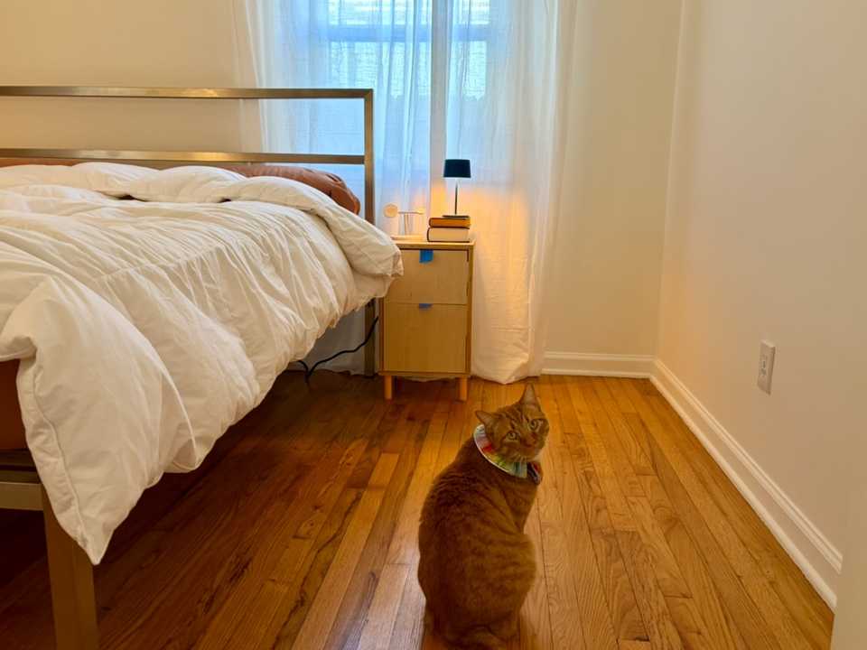 The nightstand still needing pulls (featuring Wakka)