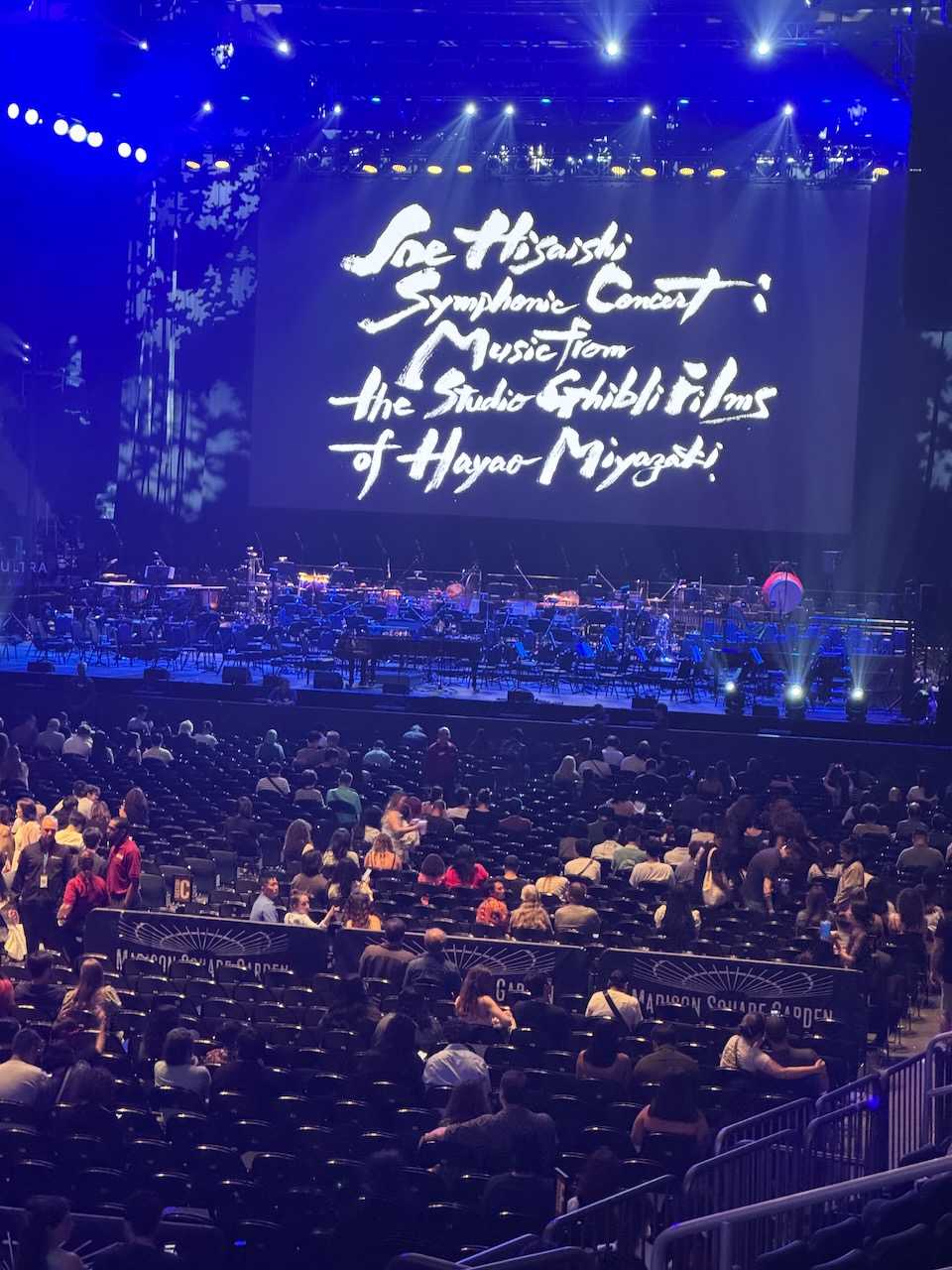 The view of the orchestra concert