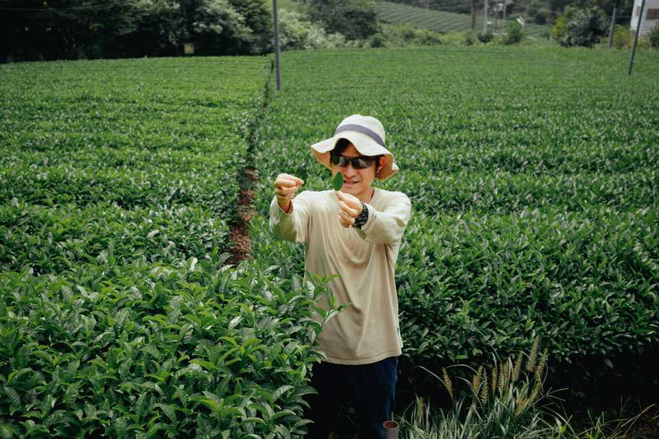 Daiki-san comparing tea leaves | Wazuka