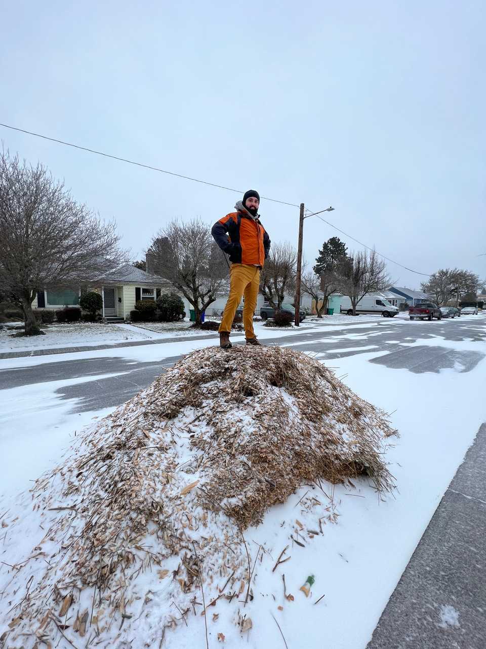 December: Charlie atop the second chip pile