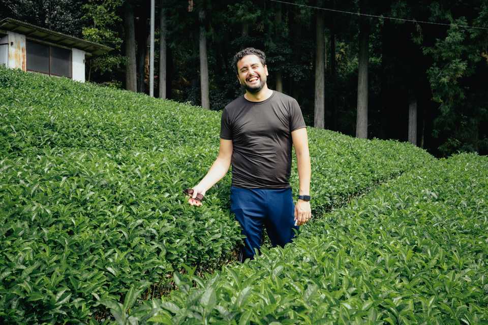 Charlie in a tea field | Wazuka